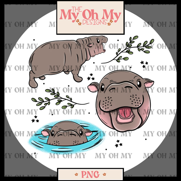 Hippo, Hippopotamus - PNG File